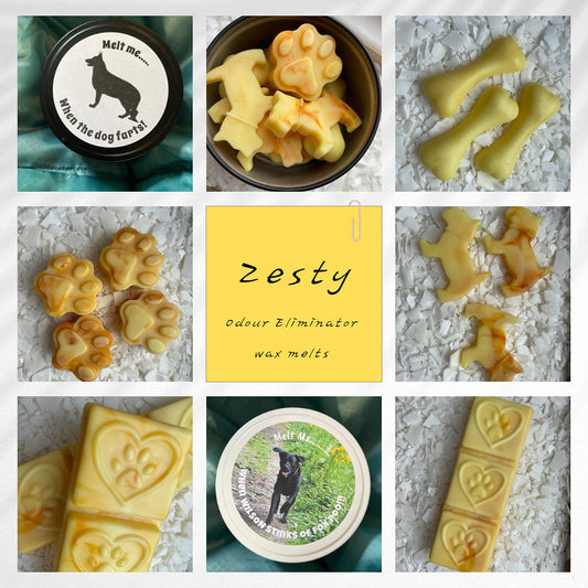 Paws Design Snap Bar - Zesty (Odour Eliminator)