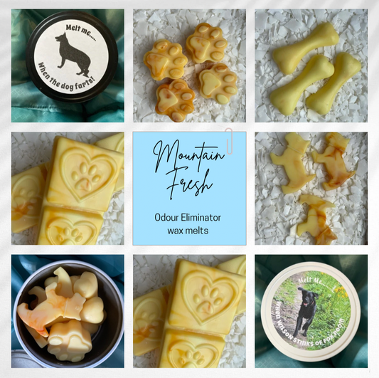 Paws Design Snap Bar - Mountain Fresh (Odour Eliminator)