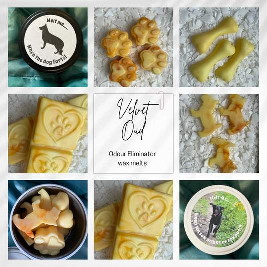Paws Design Snap Bar - Velvet Oud (Odour Eliminator)