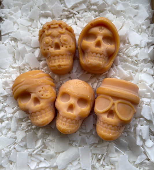 SKULLS (5 pack) - Sweet Orange